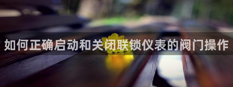 新宝gg cqdellar