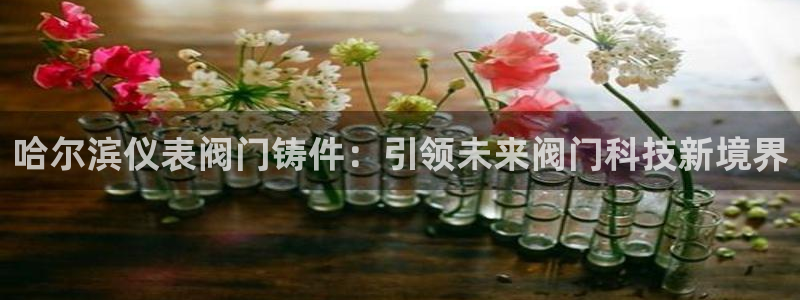 新宝GG股东