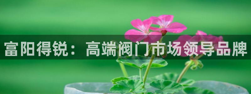 新宝gg主管花木兰