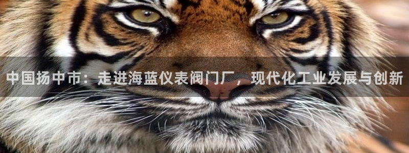 旧版新宝GG