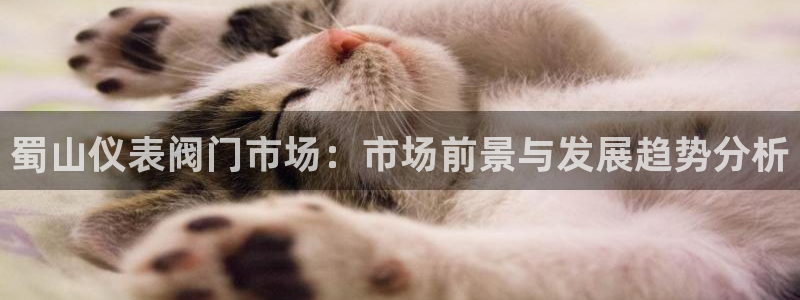 新宝gg网赚