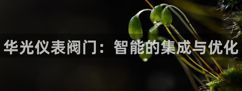 新宝gg网娱乐