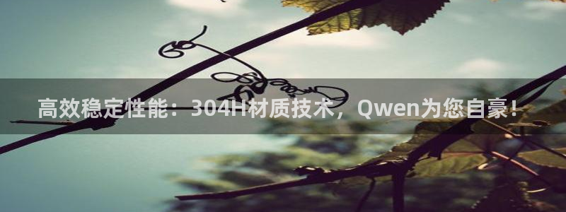 新宝gg工资