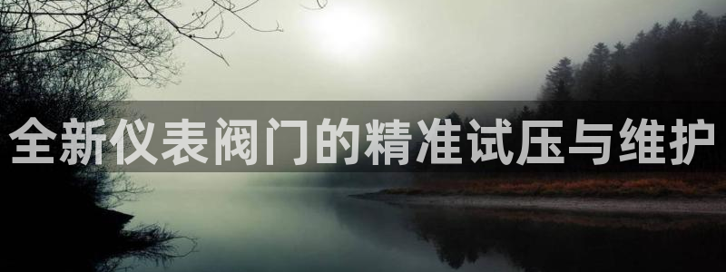 新宝gg玩法
