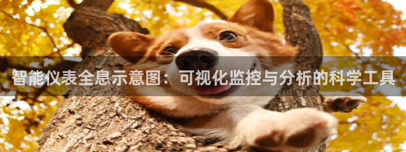 新宝gg 创造
