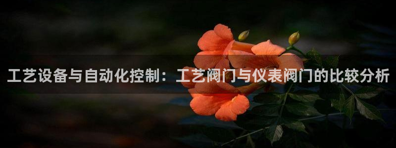 新宝gg平台反水