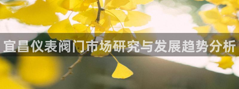新宝gg主管baidu