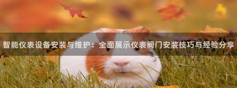 c新宝GG