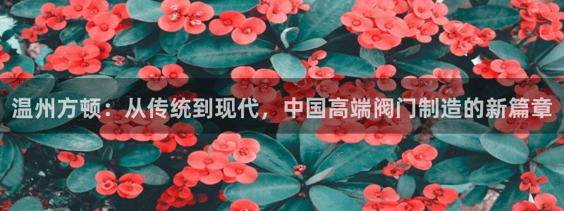 新宝gg反水