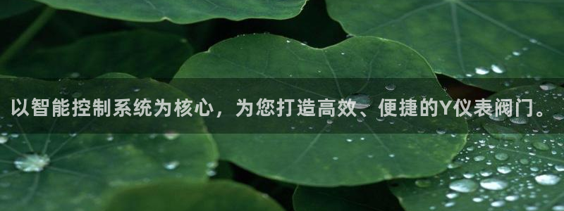 新宝gg漏洞