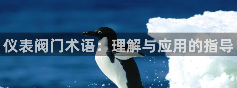 新宝gg怎么开户