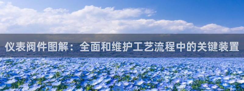 新宝gg官方下载