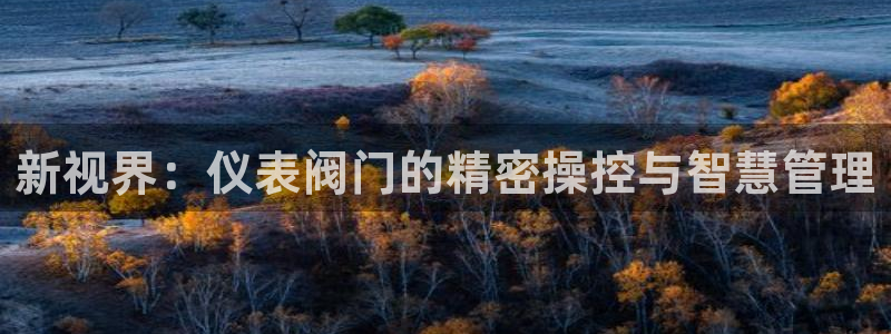 新宝gg代理条件