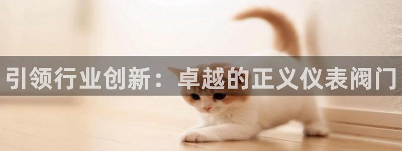 新宝gg首页平台