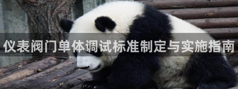 新宝gg娱乐盟主