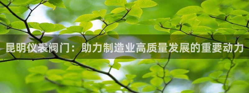 新宝GG挂机