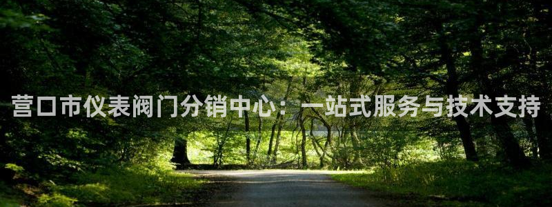 新宝gg平台反水