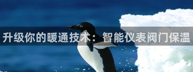 新宝gg开奖结果