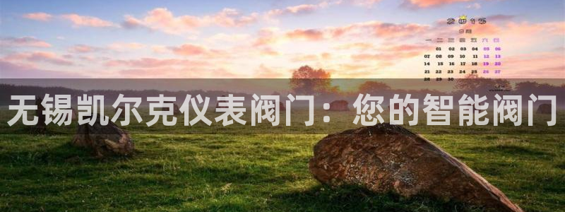 新宝GG都有哪些计划