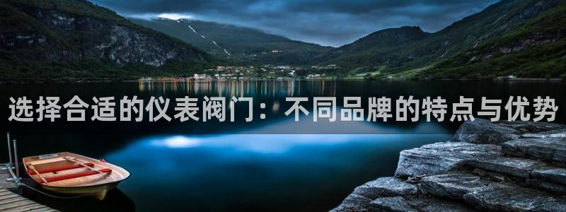 新宝gg平台下载安装